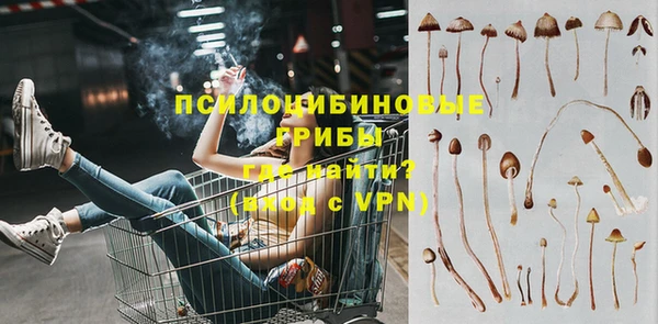 эйфоретик Алзамай
