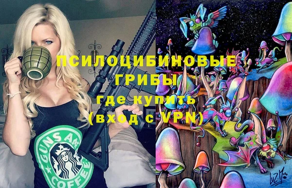 эйфоретик Алзамай