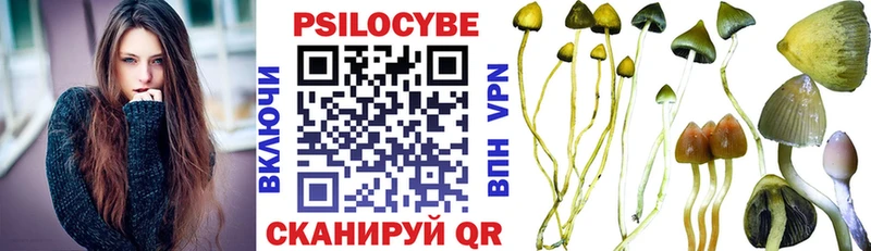 Псилоцибиновые грибы Psilocybe Змеиногорск