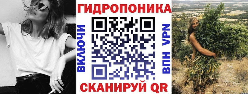 Конопля SATIVA & INDICA Змеиногорск
